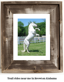 trail rides near me in Brewton, Alabama